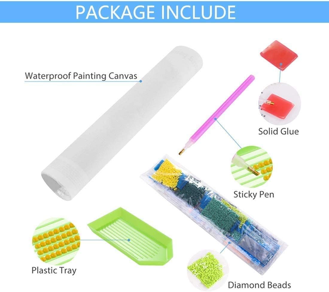 Kit per pittura a diamante 5D LIK 30X40