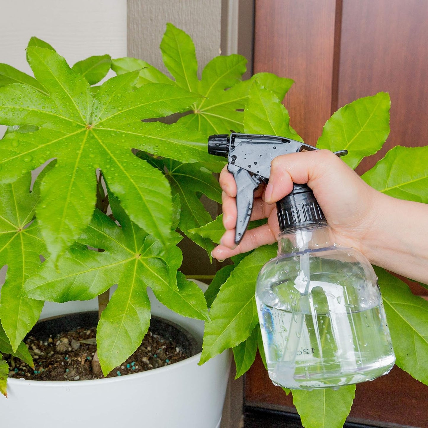 Confezione da 6 flaconi spray vuoti in plastica